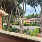 Margherita *