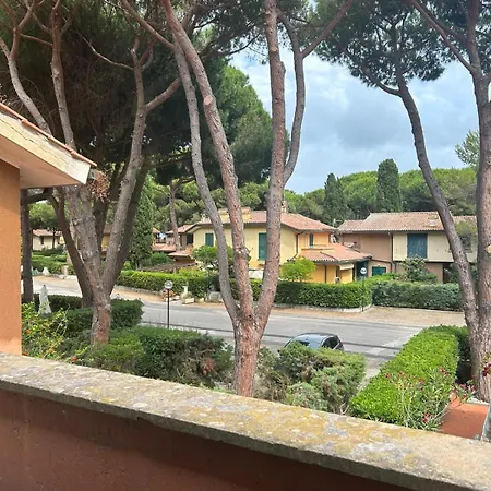 Margherita *